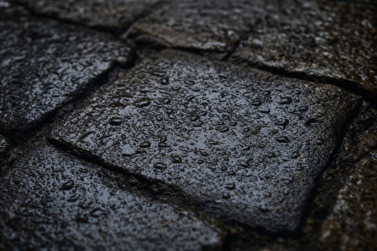 Rain beads on dark stone paving